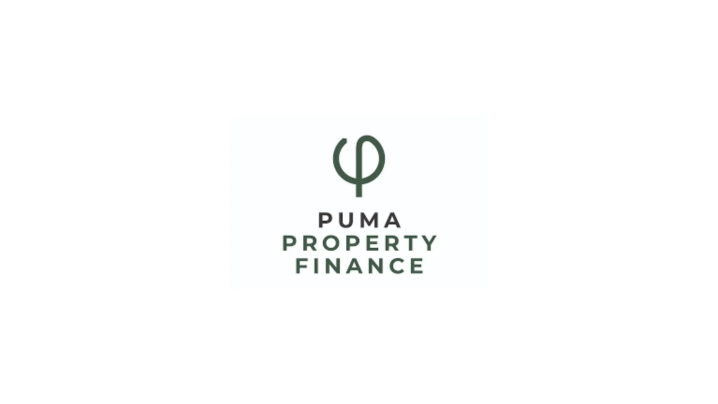 Puma Property Finance logo